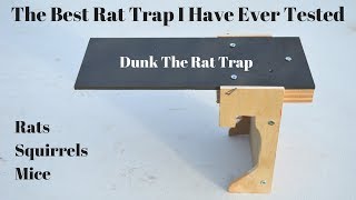 The All Time Best Rat Trap I Have Ever Tested Dunk The Rat Trap In Action [upl. by Amlez]