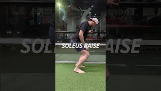 Soleus Raise for Achilles Tendinitis [upl. by Rabbi436]