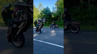 17 Sportster 1200 XL Custom WHEELIE with FORWARD CONTROLS🫣subscribe 2024 stunt fyp short [upl. by Silvan]