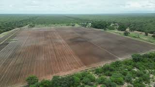 Grootfontein Farm 15 5m final [upl. by Galasyn]