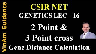 VG  Genetics  Lec 16  Two Point amp Three Point Cross [upl. by Breanne]