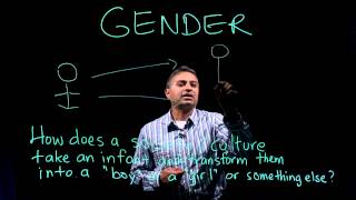 Gender Intelligence  Part 1 of 2 Defining Sex amp Gender [upl. by Ahsi728]