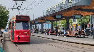 HTM Den Haag  BN GTL8 Trams  Station Den Haag Holland Spoor  Trams in Nederland  082024  NL [upl. by Liponis104]