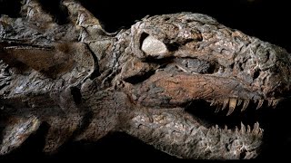 10 Most AMAZING Fossil Discoveries Ever Made [upl. by Rumpf]