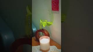 Scented candle ASMR🫶✨ [upl. by Amby]