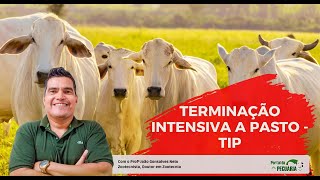 Curso Terminação intensiva a pasto TIP [upl. by Nuahsal]