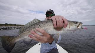 How to fish jerkbaits for Monster Speckled Trout [upl. by Marutani]