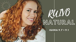 RUIVO NATURAL COM IGORA 97  91 [upl. by Kloman]