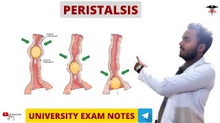 Peristalsis  Digestive System physiology MBBS  BDS  BMLT  DMLT  Nursing lecturers [upl. by Ashbaugh8]