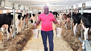 Cheap Feed Producing 30 litres Per Cow Super Integrated Farm [upl. by Lareine]