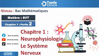 Chapitre 12  Le Tissu Nerveux BAC MATH [upl. by Rammus]