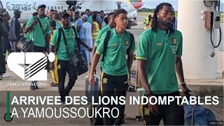 CAN 2023  ARRIVEE DES LIONS INDOMPTABLES A YAMOUSSOUKRO [upl. by Ellissa]