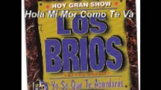 Hola Mi Amor Como Te Va Los Brioswmv [upl. by Yordan]