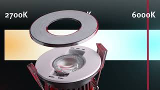 Lexco TAURI Fixed Fire Rated LED Downlight  Screwfix [upl. by Eelra]