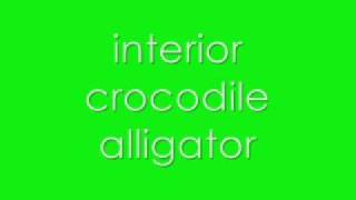 interior crocodile alligator FULL SONG [upl. by Egbert29]