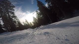 Paper Trail  Grouse Mountain [upl. by Anneliese95]