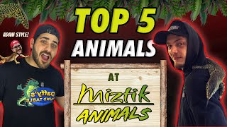 Top FIVE Reptiles In Miztik Animals Reptile Room [upl. by Coltson]