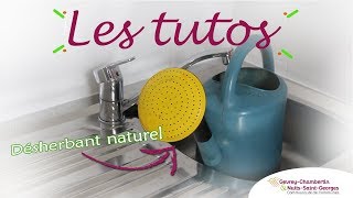 LES TUTOS  Du désherbant naturel zéro déchet [upl. by Coady]