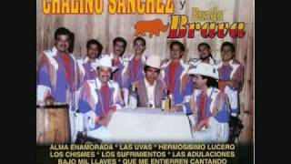 Chalino Sanchez y Banda BravaLas Adulaciones [upl. by Turino253]