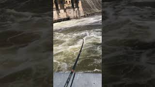 Dam fishing in the fast water catfishing fishing bigcatfish [upl. by Cardwell628]