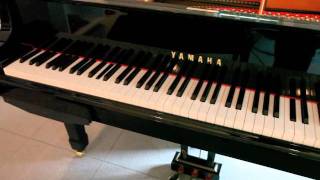 Disklavier plays Redline Tango [upl. by Adnawahs]