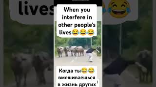 When you interfere in other peoples livesfunny video [upl. by Harewood]