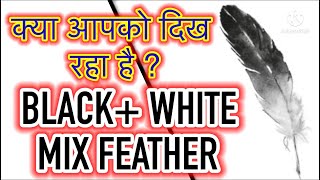 MIX BLACK  WHITE FEATHER दिख रहा है  ये है मतलब [upl. by Anead]