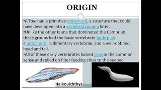 Ostracoderms  origin amp features [upl. by Mandell947]