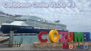 캐리비안 크루즈 7박8일 3 3일 멕시코 코즈멜 4일 항해날 Caribbean cruise 7n8d 3 Day 3 Cozumel Mexico Day 4 Sea day [upl. by Tala]