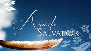 Amado SalvadorLLDM [upl. by Aryas]