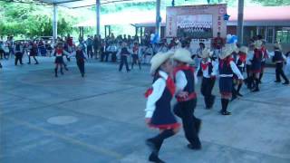 BAILE EL RATON VAQUERO [upl. by Anaes]