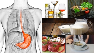 5 Amazing Foods You Can Eat When You Have Gastroparesis [upl. by Ahsiekyt]