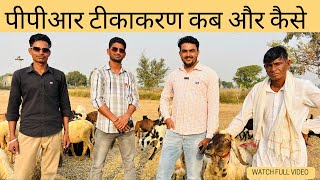 How To Register Flock In Bharatpashudhan App Ppr Vaccination In Goat [upl. by Lledyl131]