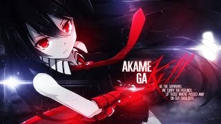 Infernal Raid  Akame Ga Kill AMV [upl. by Nojid892]