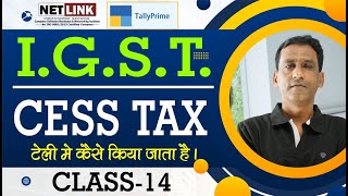 14 IGST tax  CGST  SGST  CESS टैली प्राइम में टैक्स को कैसे उपयोग किया जाता है [upl. by Neerac807]