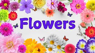 Flowers Names  Flowers Name for Kids  Flowers Name with Pictures  Learn Flowers Name in English [upl. by Ettenotna607]