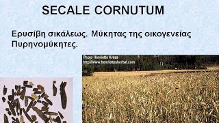 SECALE CORNUTUM  ΑΝΤΙΜΕΤΩΠΙΣΗ ΟΞΕΩΝ ΚΑΤΑΣΤΑΣΕΩΝ ΜΕ ΟΜΟΙΟΠΑΘΗΤΙΚΗ [upl. by Llehsem398]