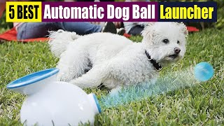 Best Automatic Dog Ball Launcher Of 2023 [upl. by Ecnerat23]