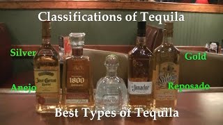 Classifications of Tequila Best Types of Tequila Difference Between Tequilas [upl. by Eittak]