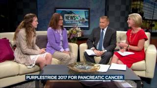 Purple Stride 2017 for Pancreatic Cancer [upl. by Anelrats]