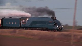 LNER A4 4464 Bittern Frinkley Lane 07122013 [upl. by Baird]