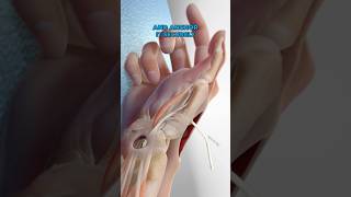 Basal Joint Surgery 3D Animation [upl. by Carolina]