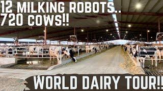 This New Dairy Has 12 Milk Robots [upl. by Airak]