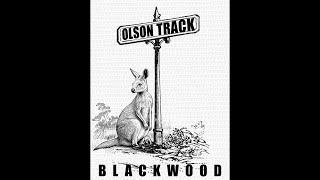 Olson Track [upl. by Aicilram749]