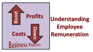 Understanding Employee Remuneration [upl. by Laitselec]