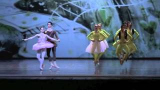 Cipollino Ballet  Bella Ratchinskaia [upl. by Ahsinrac]