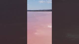 🇪🇦🌊 Torrevieja Alicante Spain  Aerial Drone View of the Pink Salt Water Lake spain saltwater [upl. by Obie]