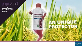 Syngenta Amistar Top Product Video  PurpleZone [upl. by Hartmunn404]