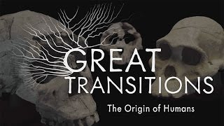 Great Transitions The Origin of Humans — HHMI BioInteractive Video [upl. by Halstead]