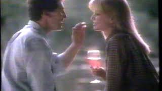 1986 Ernest amp Julio Gallo Chablis Blanc wine TV commercial [upl. by Airotel790]